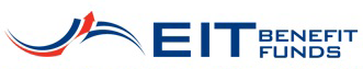 V3 Logo